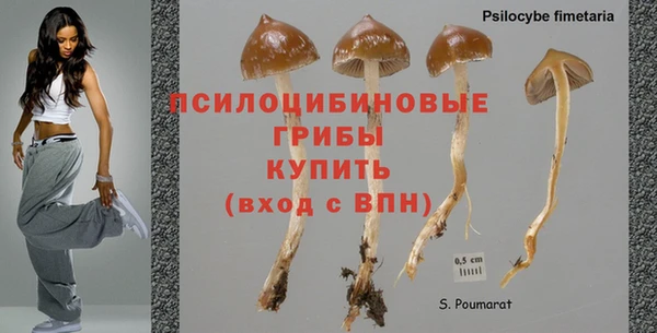 дурь Верхний Тагил