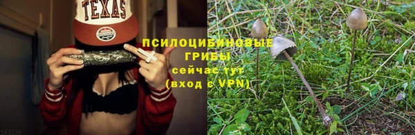 дурь Верхний Тагил