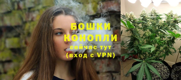 ГАЛЛЮЦИНОГЕННЫЕ ГРИБЫ Бородино