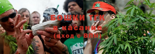 индика Вязники